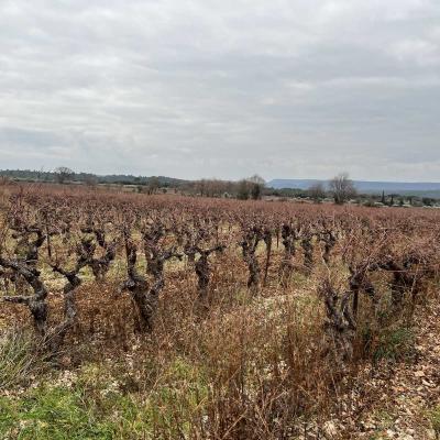 Occitanie Rando Herault Randonneee Coconne Aven Sauve Coutach 22