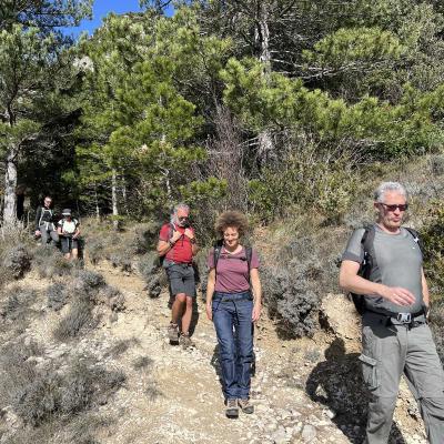 Occitanie Rando Herault Randonnee Trekking Anjeau Pic Saint Laurent Minier 132