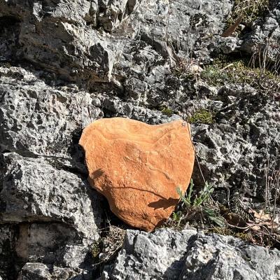 Occitanie Rando Herault Randonnee Trekking Anjeau Pic Saint Laurent Minier 147