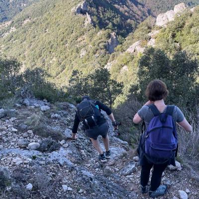 Occitanie Rando Herault Randonnee Trekking Anjeau Pic Saint Laurent Minier 28