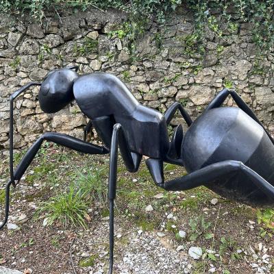 Occitanie Rando Herault Trekking Gornies Grotte Maure Pic Anjeau 02