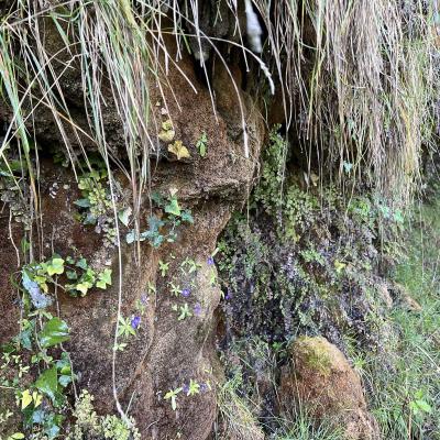 Occitanie Rando Herault Trekking Gornies Grotte Maure Pic Anjeau 09