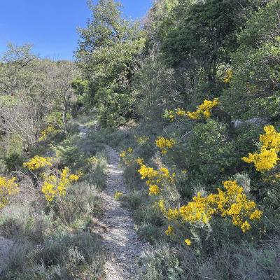 Occitanie Rando Herault Trekking Gornies Grotte Maure Pic Anjeau 53
