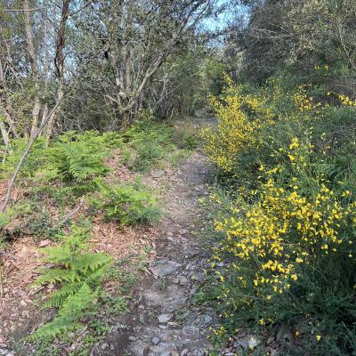 Occitanie Rando Herault Trekking Premian Saut Vezoles Chemin Legendes 103