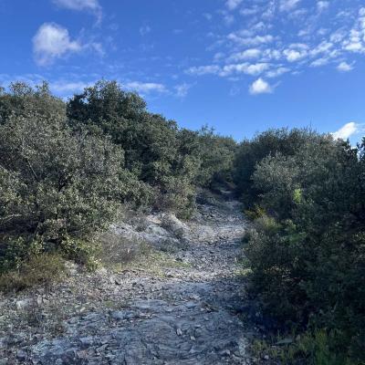 Occitanie Rando Herault Trekking Premian Saut Vezoles Chemin Legendes 105