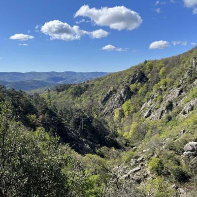 Occitanie Rando Herault Trekking Premian Saut Vezoles Chemin Legendes 158
