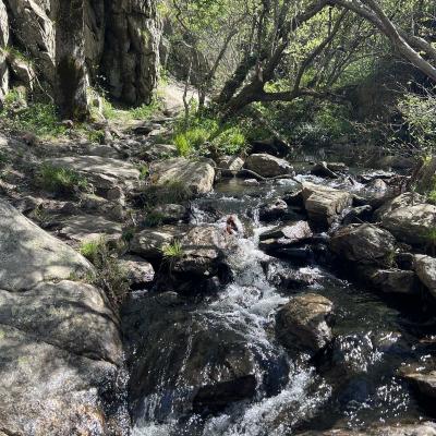 Occitanie Rando Herault Trekking Premian Saut Vezoles Chemin Legendes 165