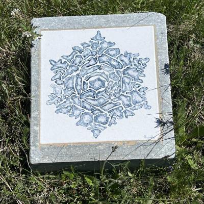 Occitanie Rando Tour Queyras Randonnee Itinerante 7 Jours 245