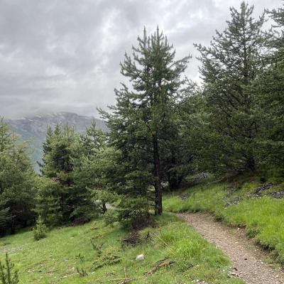 Occitanie Rando Tour Queyras Randonnee Itinerante 7 Jours 496