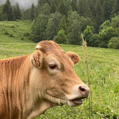 Occitanie Rando Tour Queyras Randonnee Itinerante 7 Jours 511