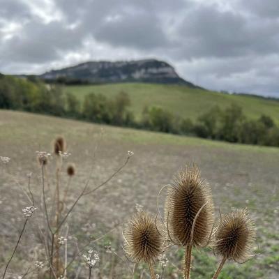 Occitanie Rando Herault Trekking Tournemire Roquefort Larzac Soulzon 32