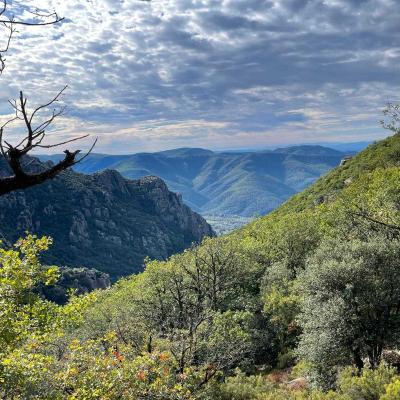 Occitanie Rando Rando Herault Colombieres Eperon Bastion Madeleine Caroux 33