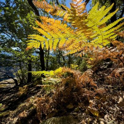 Occitanie Rando Rando Herault Colombieres Eperon Bastion Madeleine Caroux 34