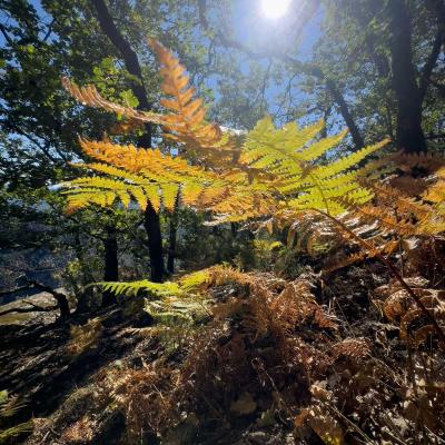 Occitanie Rando Rando Herault Colombieres Eperon Bastion Madeleine Caroux 35