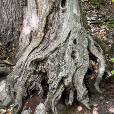 Occitanie Rando Rando Herault Colombieres Eperon Bastion Madeleine Caroux 43