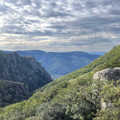 Occitanie Rando Rando Herault Colombieres Eperon Bastion Madeleine Caroux 87