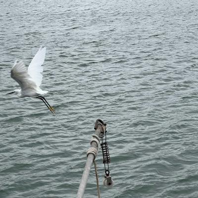 Occitanie Rando Randonnee Herault Agde Verdisses Yoga Zen 01