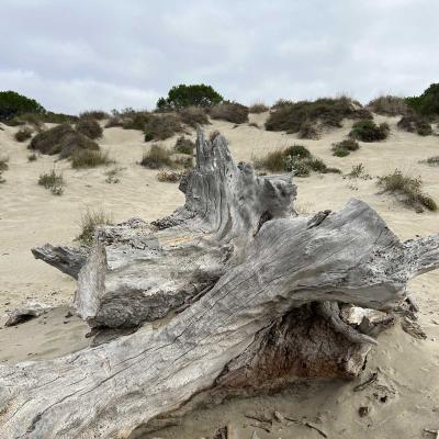 Occitanie Rando Randonnee Herault Agde Verdisses Yoga Zen 36