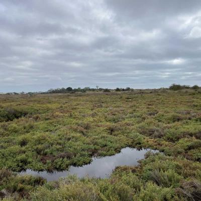 Occitanie Rando Randonnee Herault Agde Verdisses Yoga Zen 49