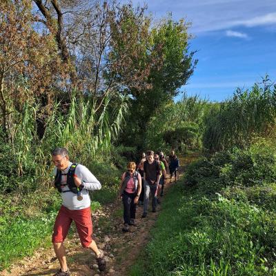 Occitanie Rando Herault Randonnee Pedestre Belarga Rouviege Dardaillon Fleuve Plaissan Campagnan 103