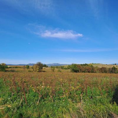 Occitanie Rando Herault Randonnee Pedestre Belarga Rouviege Dardaillon Fleuve Plaissan Campagnan 107