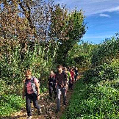 Occitanie Rando Herault Randonnee Pedestre Belarga Rouviege Dardaillon Fleuve Plaissan Campagnan 109
