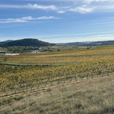 Occitanie Rando Herault Randonnee Pedestre Belarga Rouviege Dardaillon Fleuve Plaissan Campagnan 88