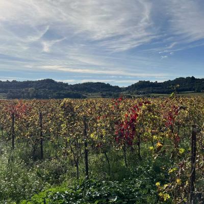 Occitanie Rando Herault Randonnee Pedestre Belarga Rouviege Dardaillon Fleuve Plaissan Campagnan 90