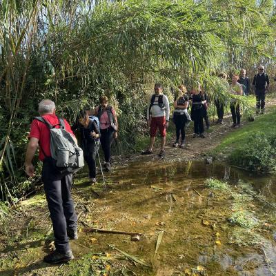 Occitanie Rando Herault Randonnee Pedestre Belarga Rouviege Dardaillon Fleuve Plaissan Campagnan 91