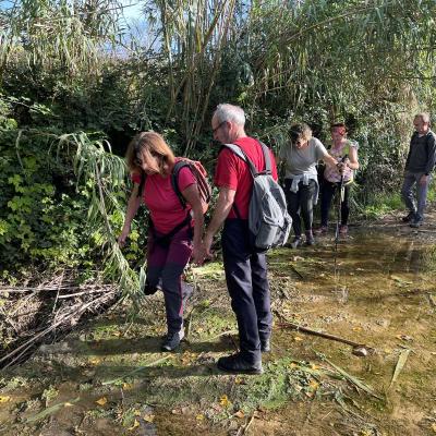 Occitanie Rando Herault Randonnee Pedestre Belarga Rouviege Dardaillon Fleuve Plaissan Campagnan 94