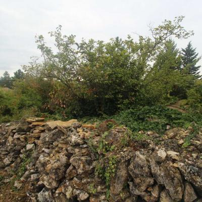 Occitanie Rando Randonnee Herault Haut Languedoc Bedarieux Causse Viaduc 87