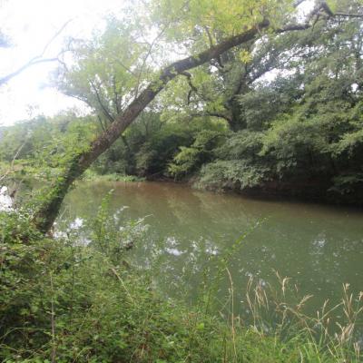 Occitanie Rando Randonnee Herault Haut Languedoc Bedarieux Causse Viaduc 90