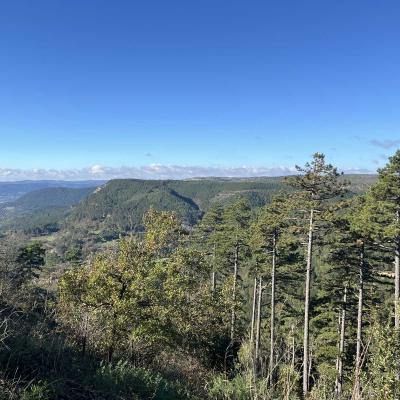 Occitanie Rando Randonnee Herault Vacquerie Saint Martin De Castries Chapelle Notre Dame De Parlatges 119