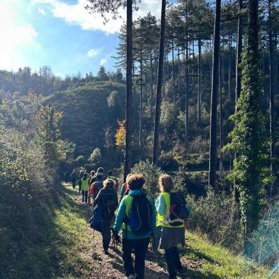 Occitanie Rando Randonnee Herault Vacquerie Saint Martin De Castries Chapelle Notre Dame De Parlatges 13