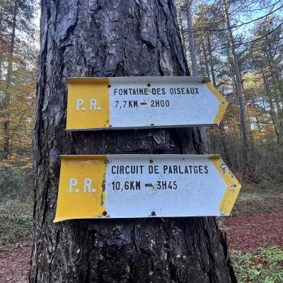 Occitanie Rando Randonnee Herault Vacquerie Saint Martin De Castries Chapelle Notre Dame De Parlatges 86