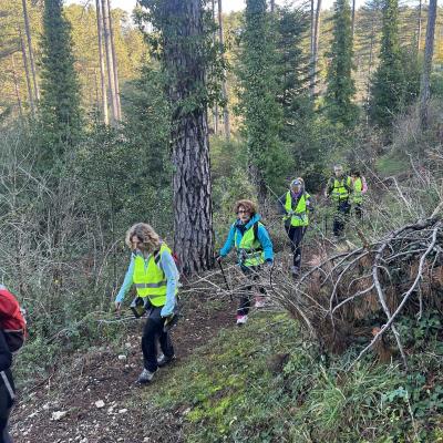 Occitanie Rando Randonnee Herault Vacquerie Saint Martin De Castries Chapelle Notre Dame De Parlatges 88