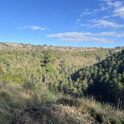 Occitanie Rando Randonnee Herault Vacquerie Saint Martin De Castries Chapelle Notre Dame De Parlatges 93