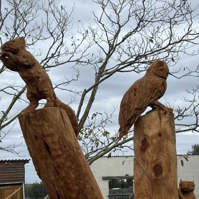 Occitanie Rando Randonnee Herault Villeneuve Maguelone Salines 09