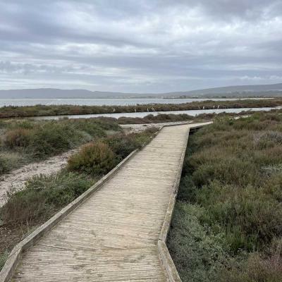 Occitanie Rando Randonnee Herault Villeneuve Maguelone Salines 20