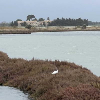 Occitanie Rando Randonnee Herault Villeneuve Maguelone Salines 27