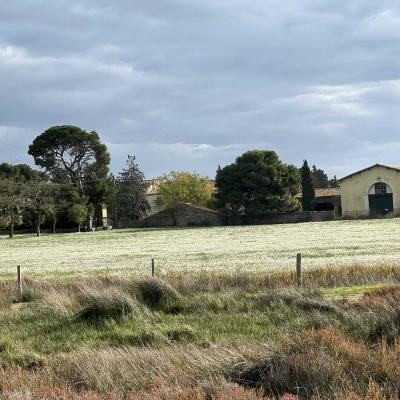 Occitanie Rando Randonnee Herault Villeneuve Maguelone Salines 30