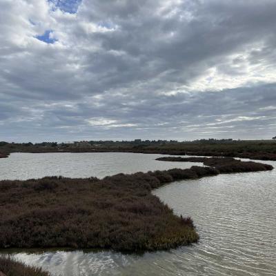Occitanie Rando Randonnee Herault Villeneuve Maguelone Salines 32