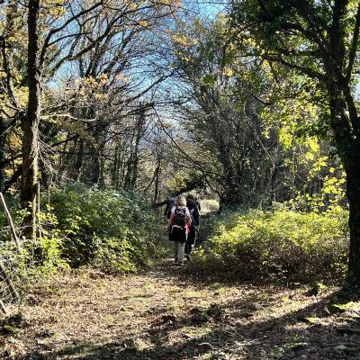 Occitanie Rando Trekking Saint Hippolyte Du Fort Prieure Saint Martin De Cezas 44