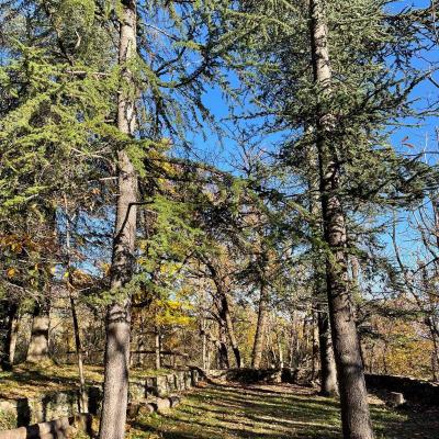 Occitanie Rando Trekking Saint Hippolyte Du Fort Prieure Saint Martin De Cezas 79