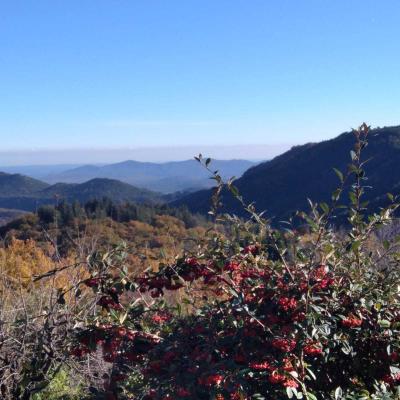 Occitanie Rando Trekking Saint Hippolyte Du Fort Prieure Saint Martin De Cezas 82