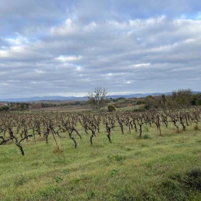 Occitanie Rando Randonnee Herault Abeilhan Thongue 02