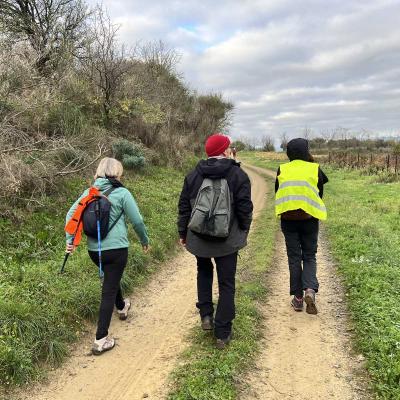 Occitanie Rando Randonnee Herault Abeilhan Thongue 05