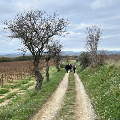 Occitanie Rando Randonnee Herault Abeilhan Thongue 07