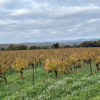 Occitanie Rando Randonnee Herault Abeilhan Thongue 09