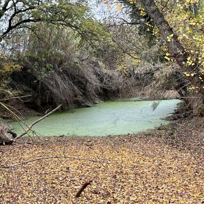 Occitanie Rando Randonnee Herault Abeilhan Thongue 10